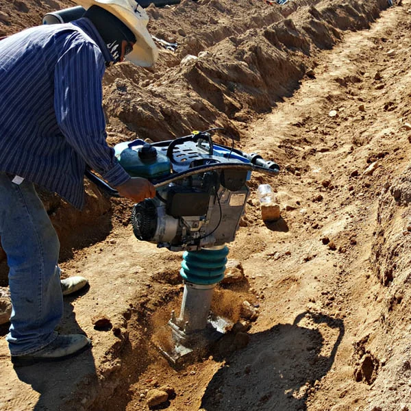 Alquiler de Bailarina - ADC